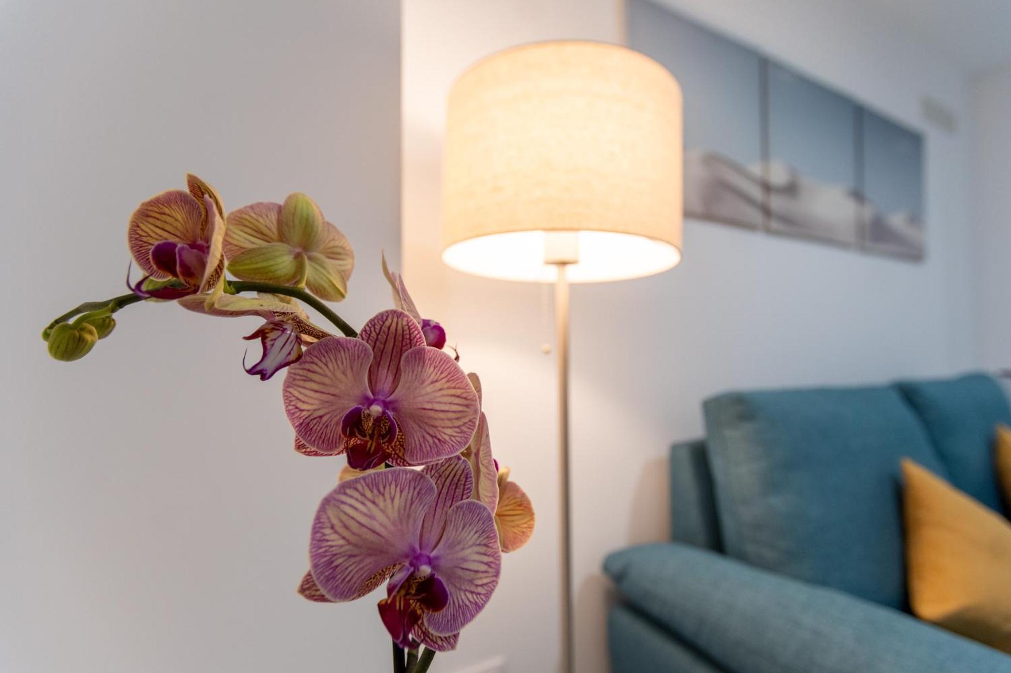 Camifa Canteras Beach Paradise Las Palmas de Gran Canaria Ngoại thất bức ảnh